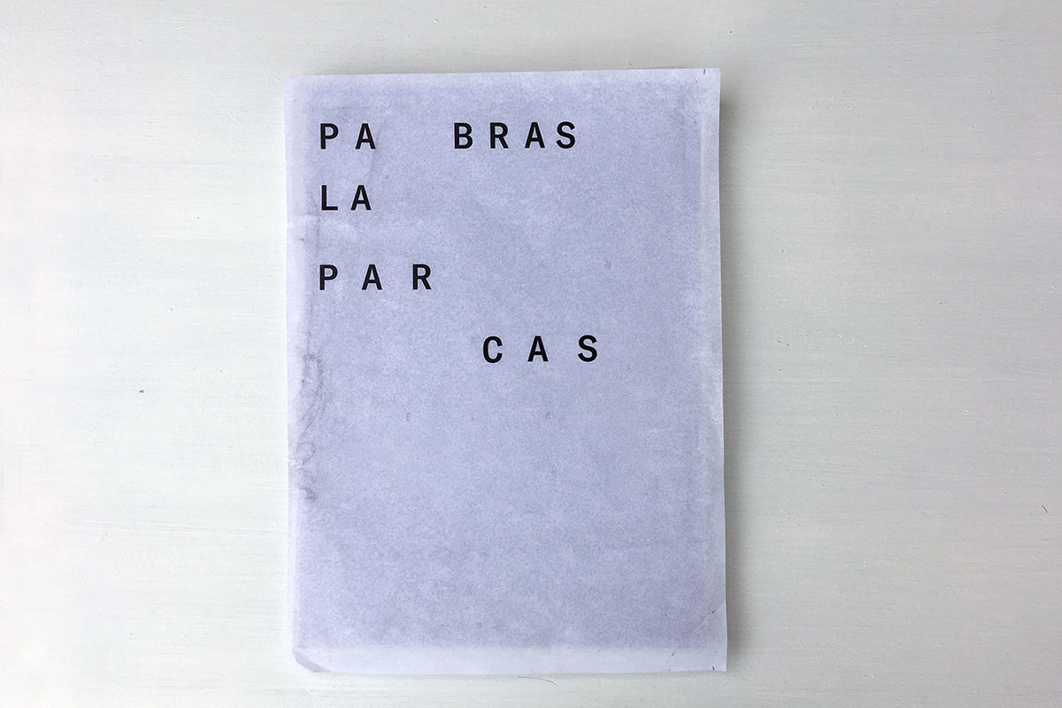 Libro de edición especial. Trabajo de Delfina Raban.