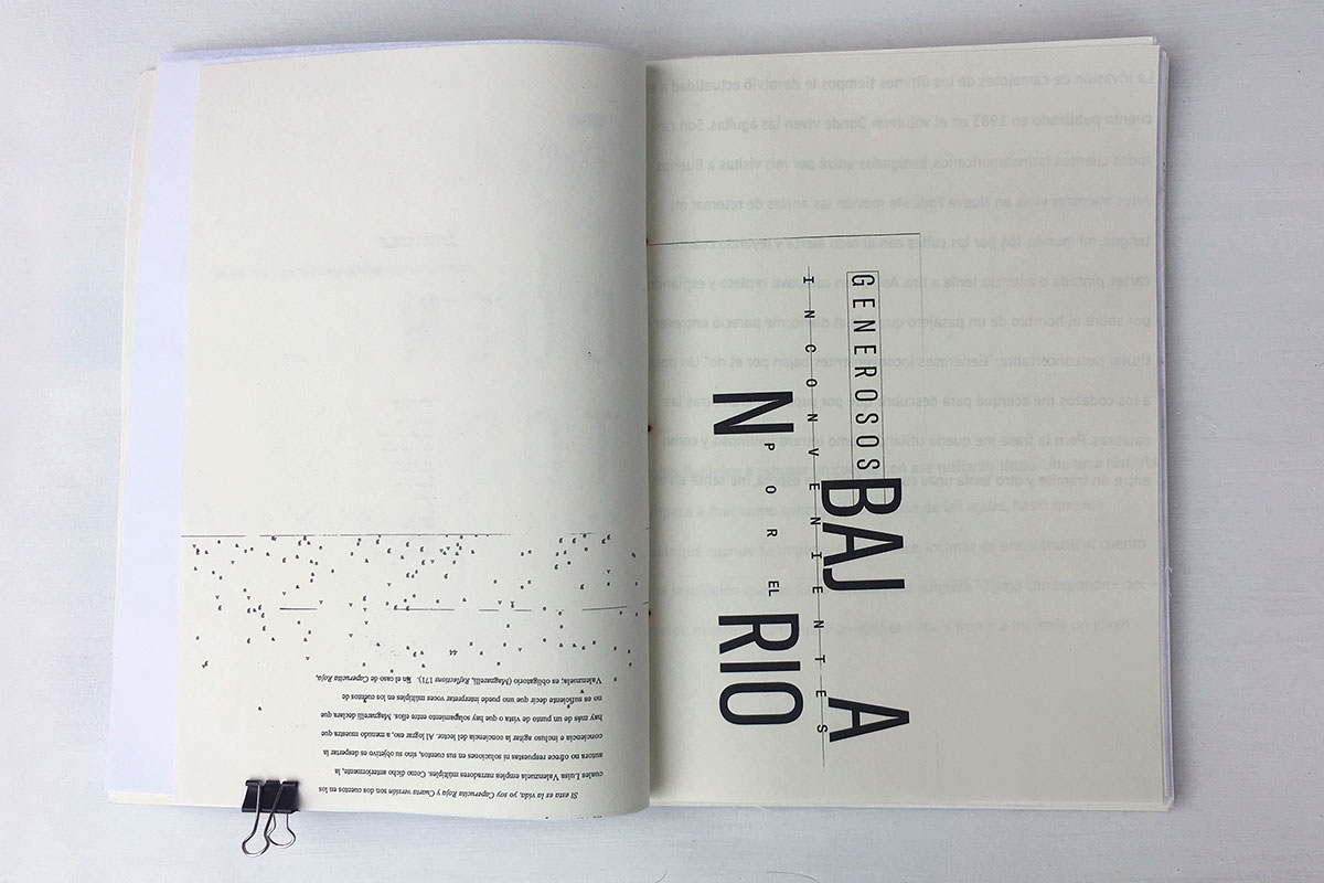Libro de edición especial. Trabajo de Delfina Raban.