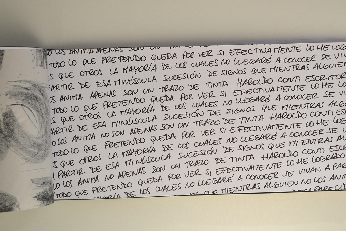 Tipografía en el entorno. Trabajo de Mariana Rodriguez Breuning.