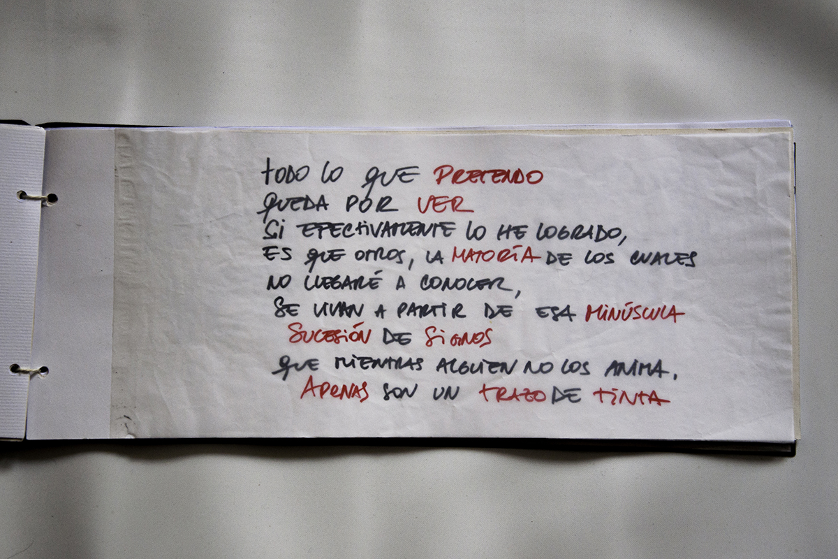 El trazo y el signo. Trabajo de Belén Shigihara.